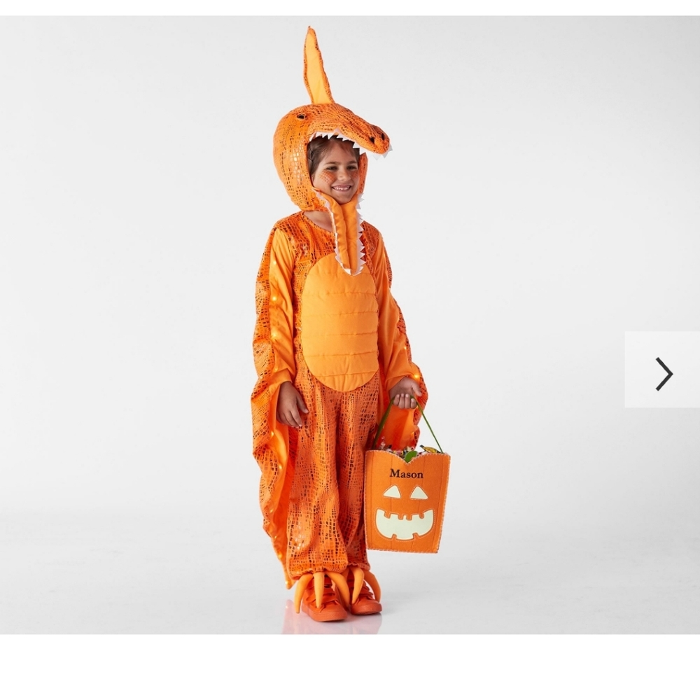 Light up Dinosaur costume
